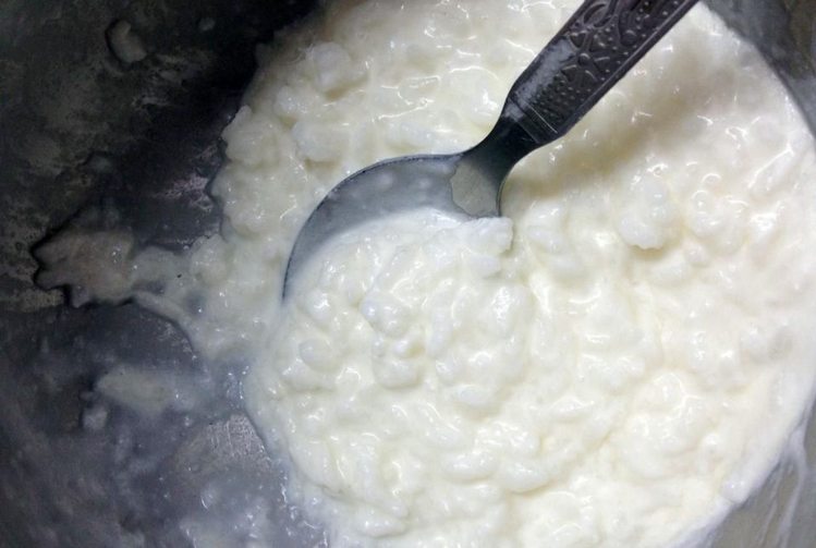 दही चावल curd rice शिशु आहार