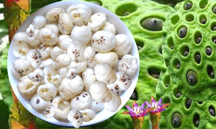 मखाने के फ़ायदे  Health Benefits of Lotus Seed Recipes
