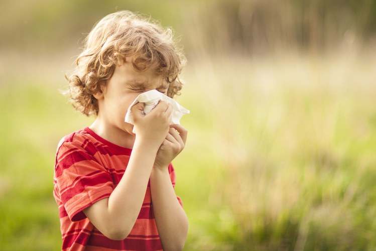 वातावरण में परागकण (pollen) से शिशु को जुकाम