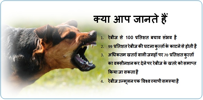 rabies prevention